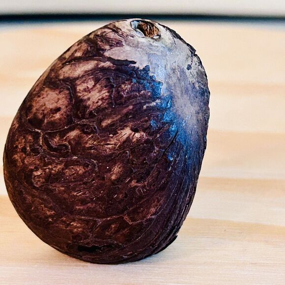 Vintage Native South American Carved Tagua Nut Head Man Silhouette Profile - Picture 3 of 11